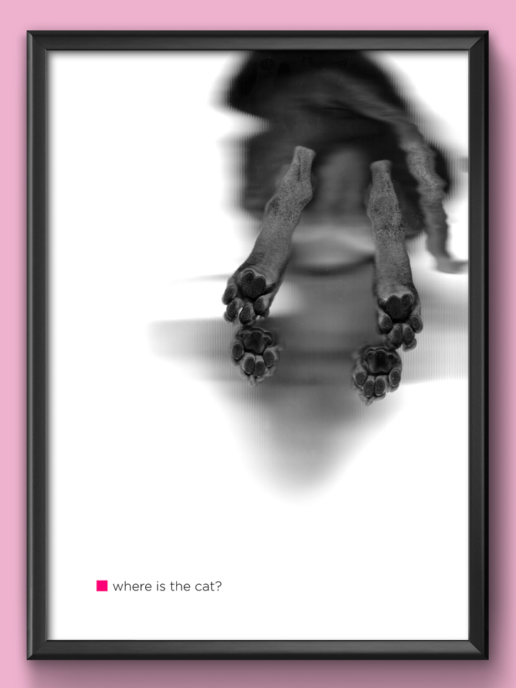 render e grafica milano poster Where-is-the-cat?