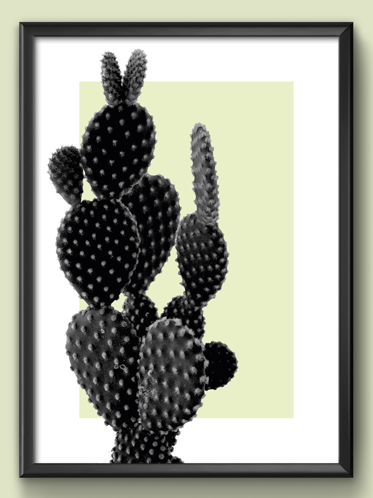 render e grafica milano poster cactus-green