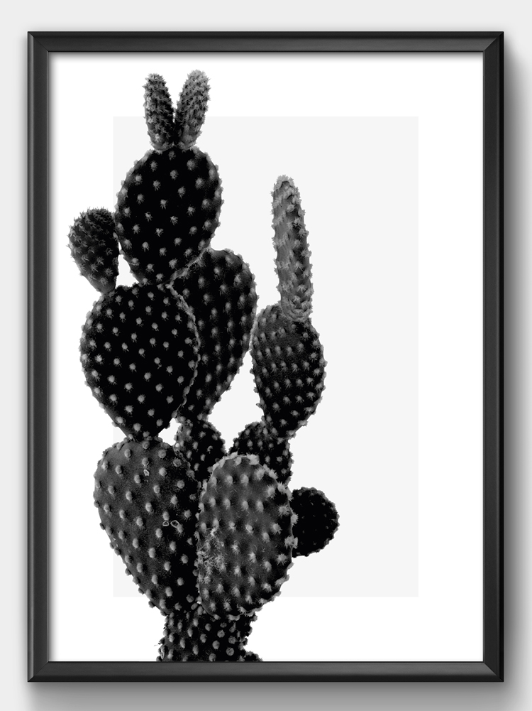 poster cactus