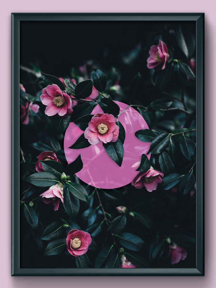 render e grafica milano poster nature3-rose