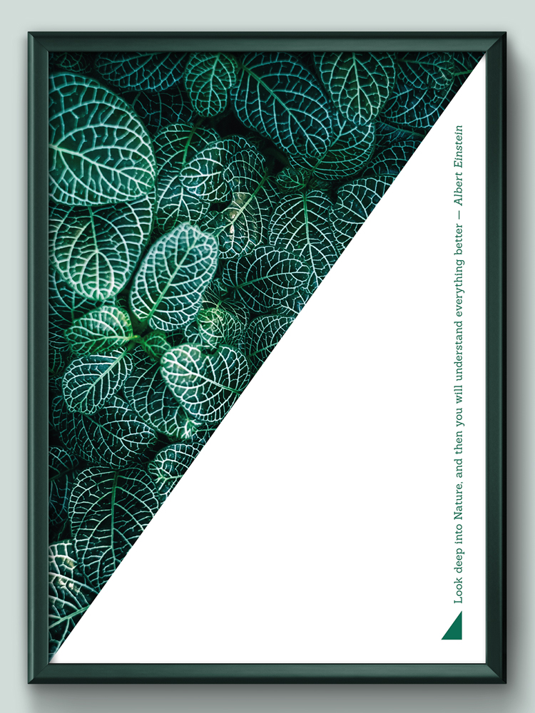 render e grafica milano poster nature4-look-deep-into-nature
