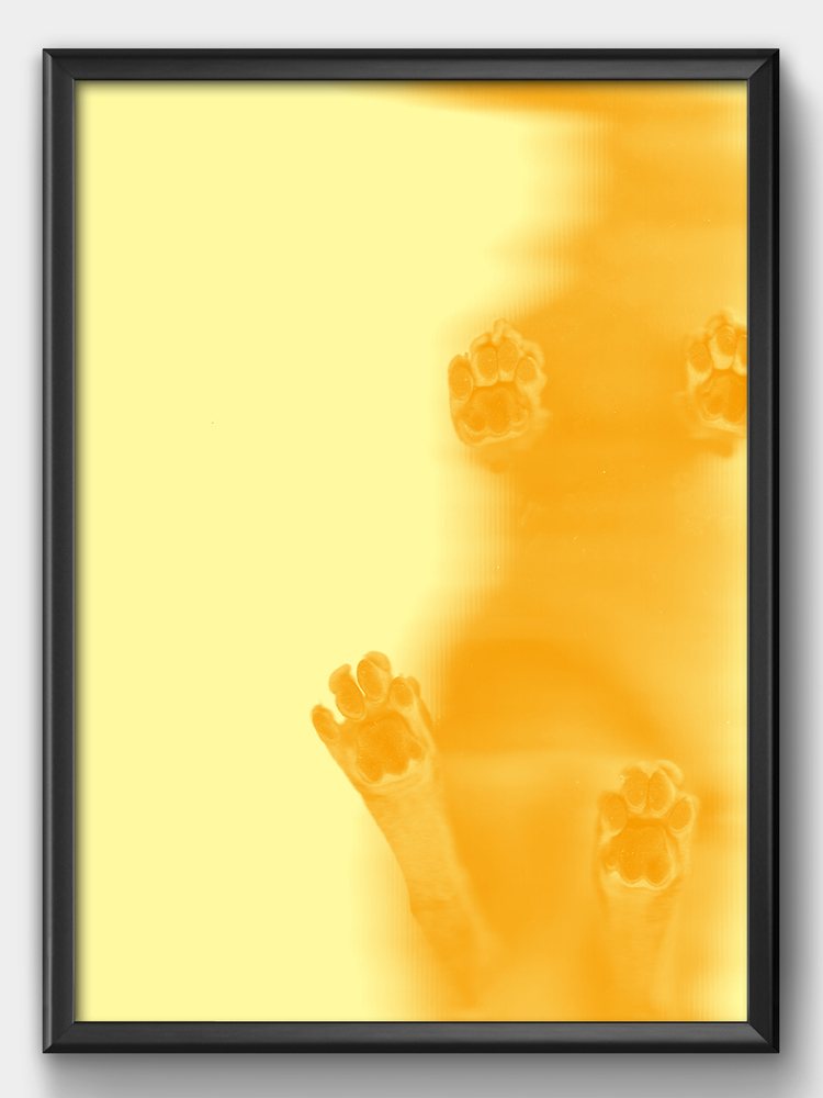 render e grafica milano poster yellow-cat-paws
